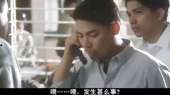 极度重犯在线观看,在线揭秘犯罪深渊的惊悚之旅  第3张